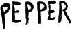 Click here for the official Pepper website