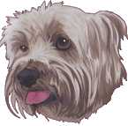 Click here for the official Lou Brutus website