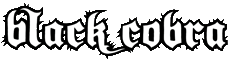 Click here for the official Black Cobra website