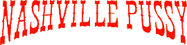 Click here for the official Nashville Pussy website