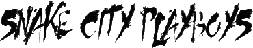 Click here for the official Snake City Playboys website