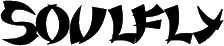 Click here for the official Soulfly website