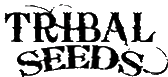Click here for the official Tribal Seeds website