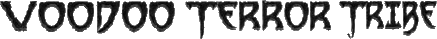 Click here for the official Voodoo Terror Tribe website